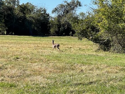 Property in Freestone County, Texas