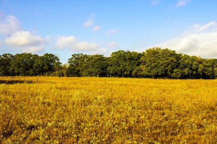Property in Wise County, Texas
