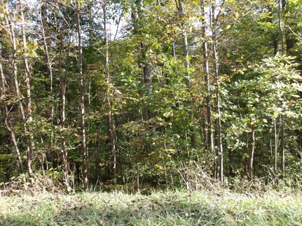 Property in Carroll County, Ohio