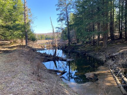 Property in Wayne County, Pennsylvania