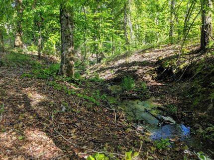 Property in Twiggs County, Georgia