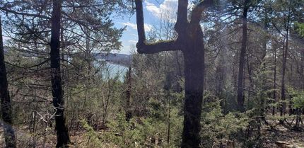 Property in Taney County, Missouri