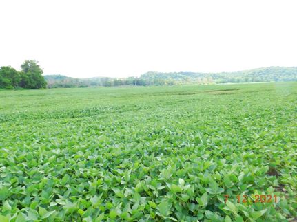 Property in Holt County, Missouri