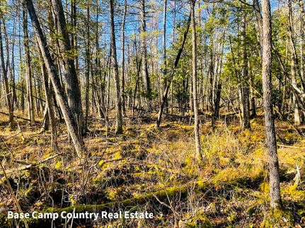 Property in Waupaca County, Wisconsin