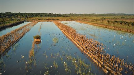 Property in Charleston County, South Carolina