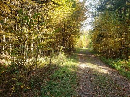 Property in Oswego County, New York