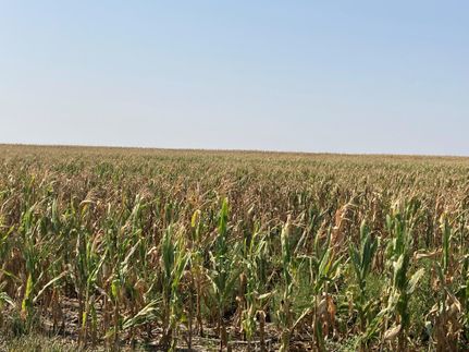 Property in Chase County, Nebraska