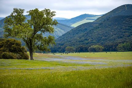 Property in Monterey County, California