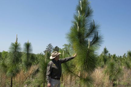 Property in Bullock County, Alabama