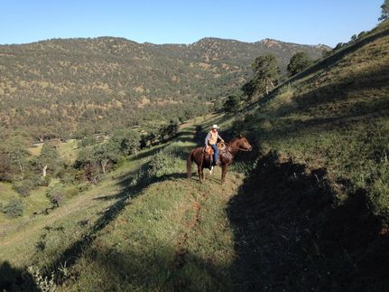 Property in Colusa County, California