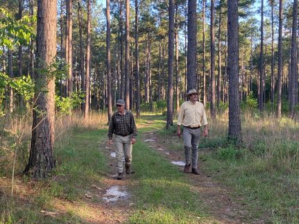 Property in Wilcox County, Georgia