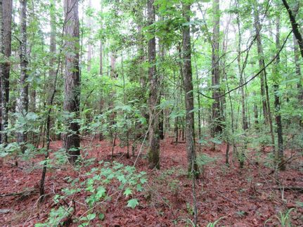 Property in Hempstead County, Arkansas