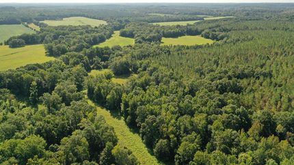 Property in Webster County, Mississippi