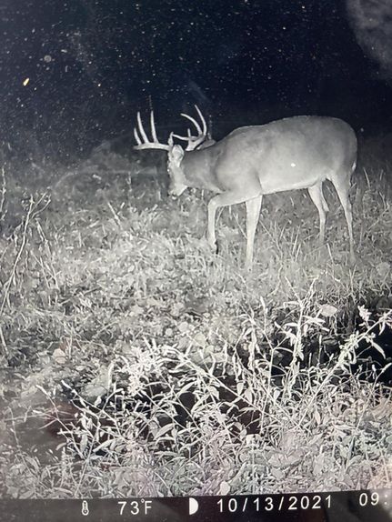 Property in Saline County, Missouri