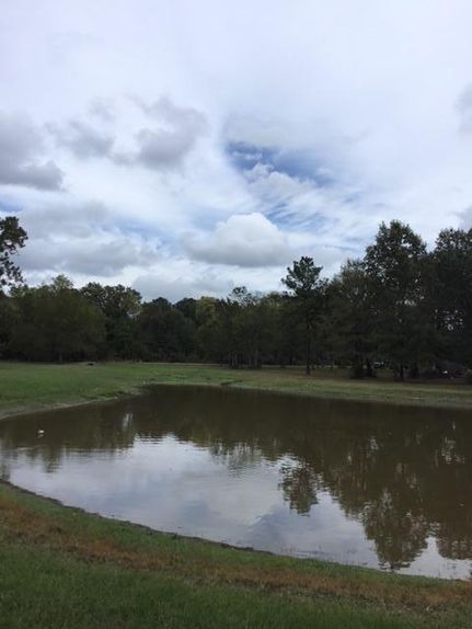 Property in Houston County, Texas