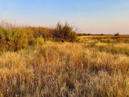 Property in Kiowa County, Colorado