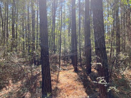 Property in Houston County, Texas