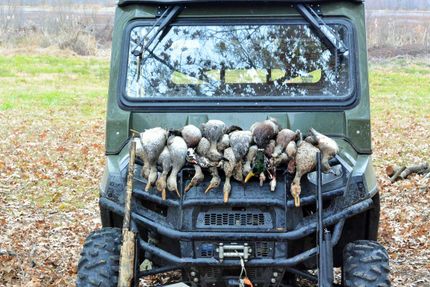 Property in Fayette County, Tennessee