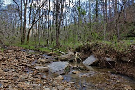 Property in Knox County, Kentucky