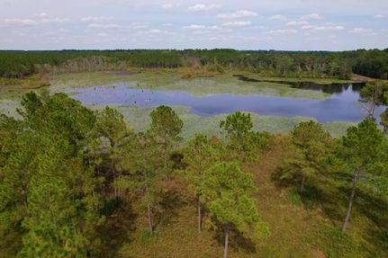 Property in Thomas County, Georgia