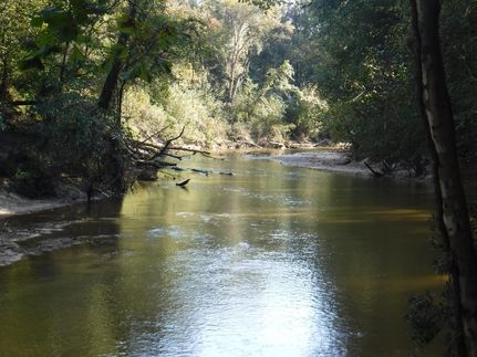 Property in Choctaw County, Alabama