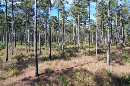 Property in Chambers County, Alabama