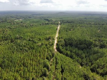 Property in Jasper County, Texas