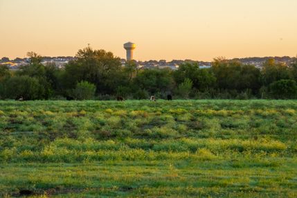 Property in Bexar County, Texas