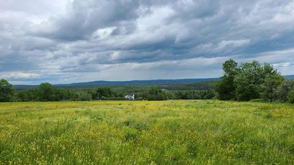 Property in Aroostook County, Maine