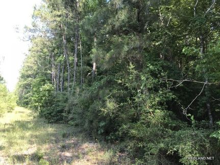 Property in Jackson Parish, Louisiana