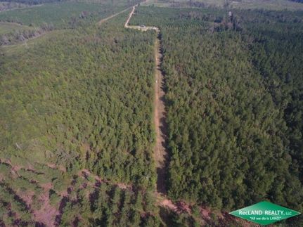 Property in Bienville Parish, Louisiana