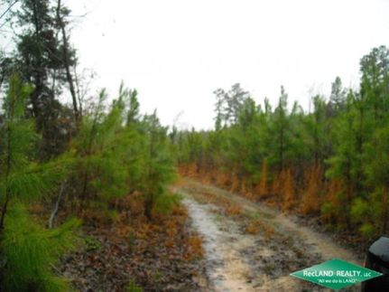 Property in Caddo Parish, Louisiana