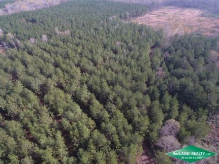 Property in Winn Parish, Louisiana