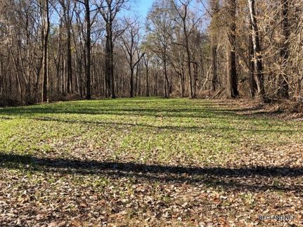 Property in Bolivar County, Mississippi