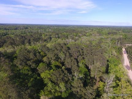 Property in Newton County, Texas