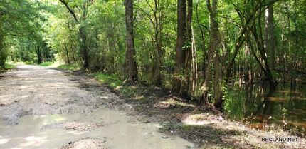 Property in Newton County, Texas