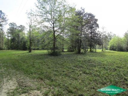 Property in Jasper County, Texas