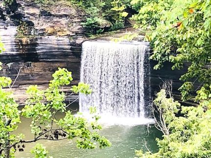 Property in Clinton County, Kentucky