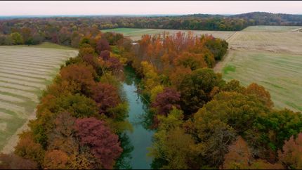 Property in Bollinger County, Missouri