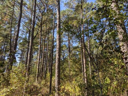 Property in Bossier Parish, Louisiana