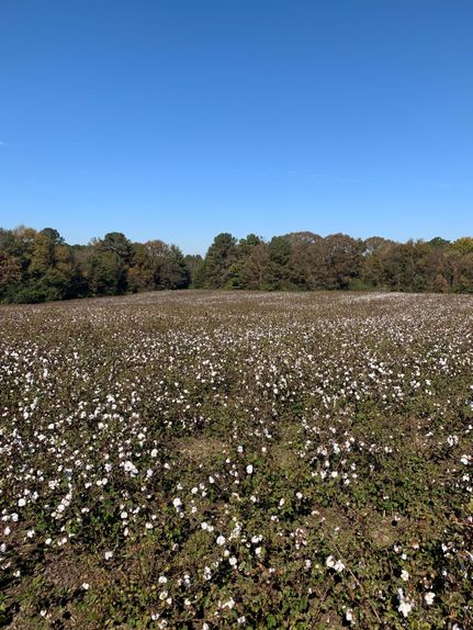Property in Chambers County, Alabama