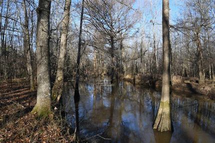 Property in Lonoke County, Arkansas