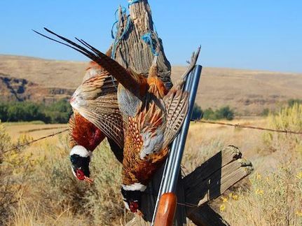 Property in Umatilla County, Oregon