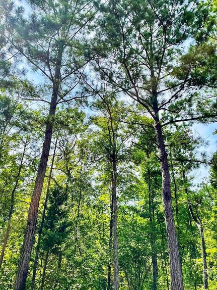 Recreational Property for sale in Lee County, Alabama