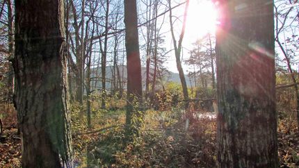 Property in Schoharie County, New York