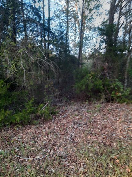 Property in Cherokee County, Texas