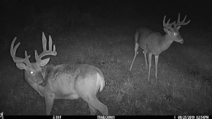 Property in Lafayette County, Wisconsin