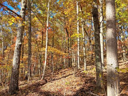 Property in Roane County, West Virginia