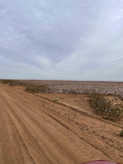 Property in Terry County, Texas