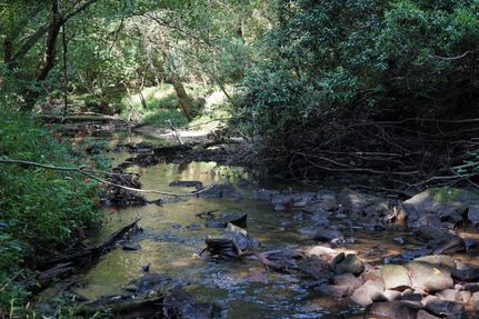 Property in Van Buren County, Tennessee